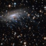 Jellyfish Galaxies and Their Magnetic Fields