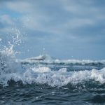 Wave Magnets Produce Affordable, Clean Energy