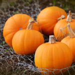 DIY Popsicle Stick Pumpkin Magnet