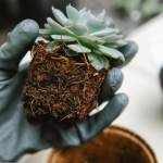 Make Your Own Paper Mache Planters