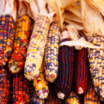 DIY Corn Magnets