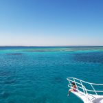 How Neodymium Magnets Are Powering the Future of Water Travel
